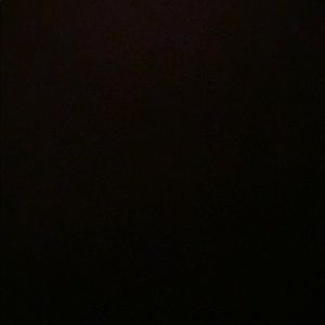 Meet your Posher, Reneysha